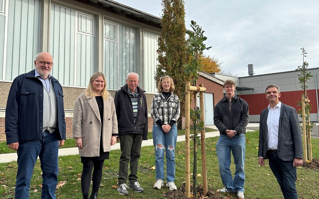 Neue Baumreihe auf dem Weg zum neuen Schulgebäude